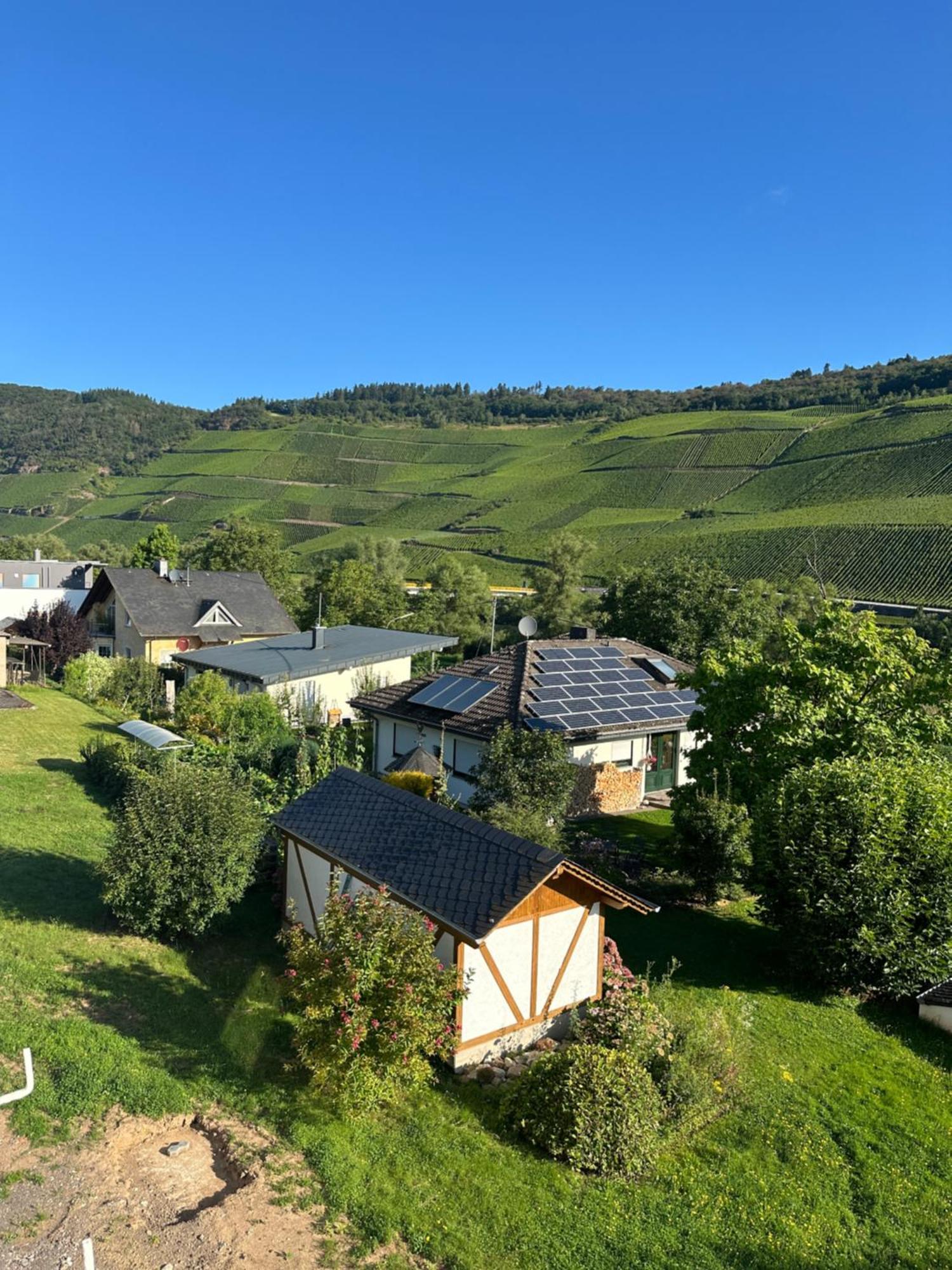 Moselappartements By Weingut Marco Adamy Lösnich 외부 사진