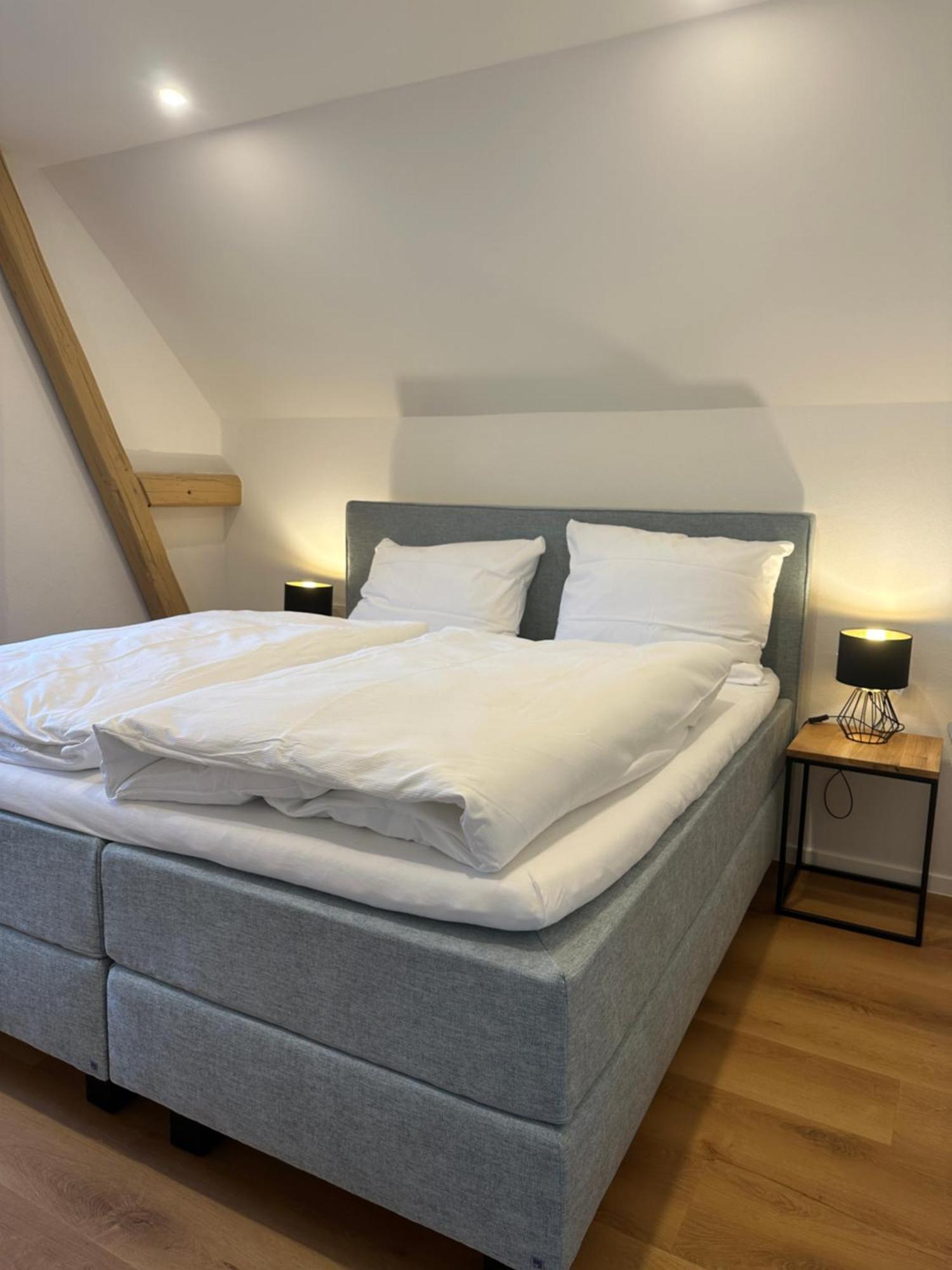 Moselappartements By Weingut Marco Adamy Lösnich 외부 사진